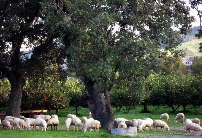 Barone Gr Macrì Agriturismo Modi