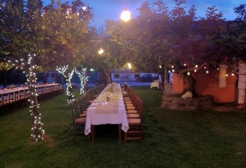 Barone Gr Macrì Agriturismo Modi