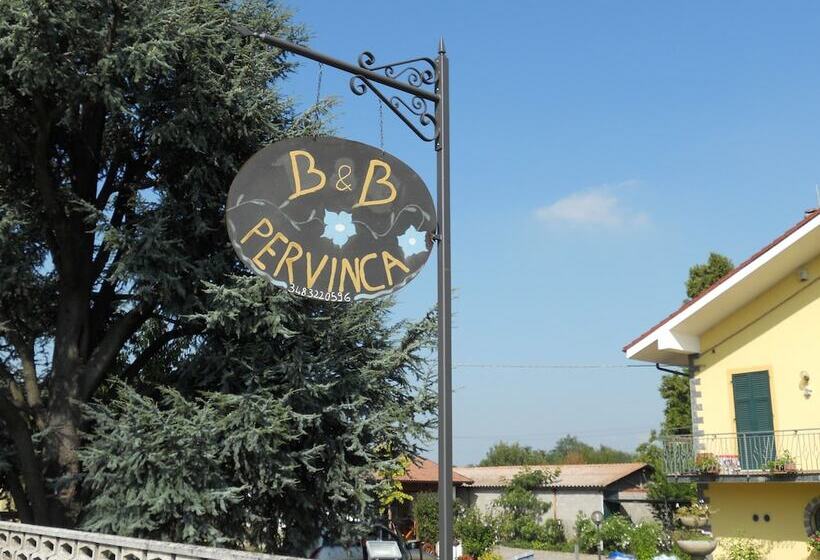 B&b Pervinca