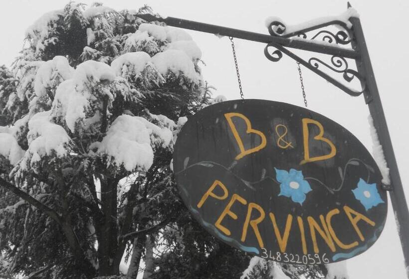 B&b Pervinca