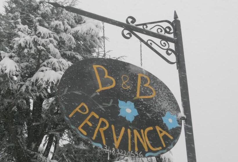 B&b Pervinca