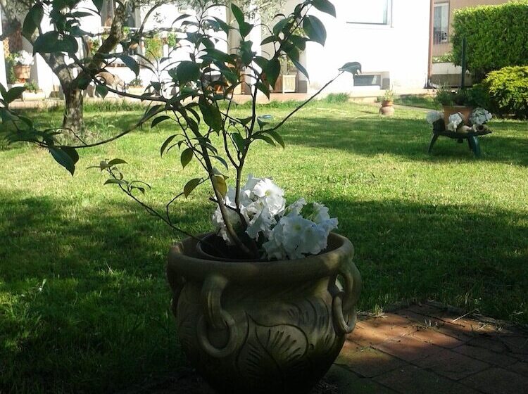 B&b Villa Due Pini