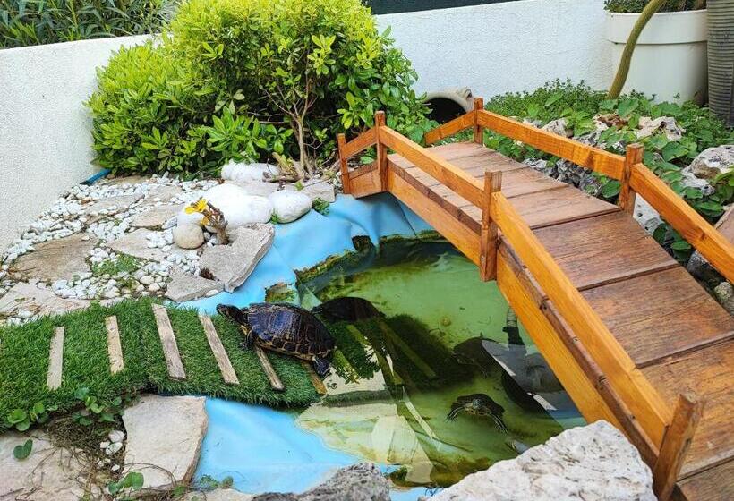 مبيت وإفطار Alcivico3