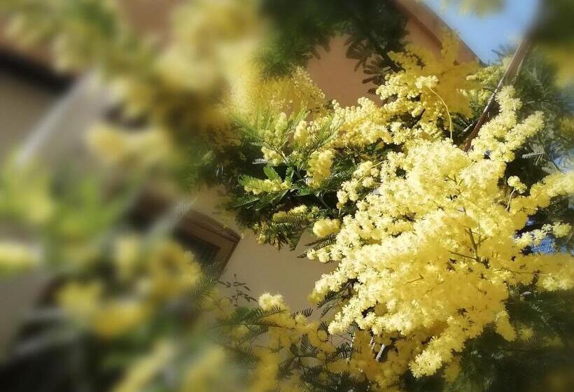 تختخواب و صبحانه Dimora Del Magnifico