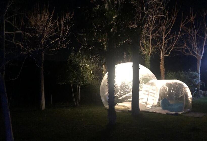 צימר Leamorine White House