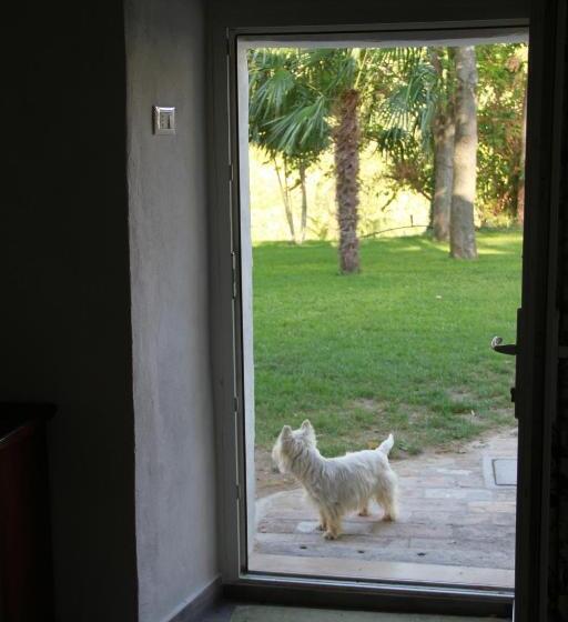 צימר Leamorine White House