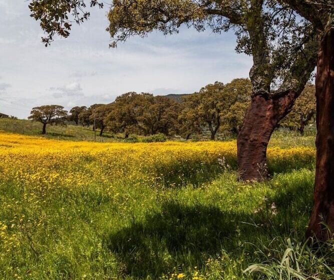 مبيت وإفطار The Old Farm Asfodeli  Adults Only