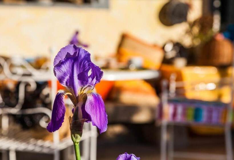 مبيت وإفطار The Old Farm Asfodeli  Adults Only