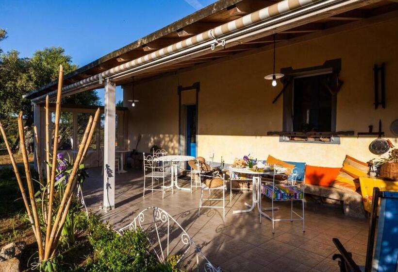 مبيت وإفطار The Old Farm Asfodeli  Adults Only