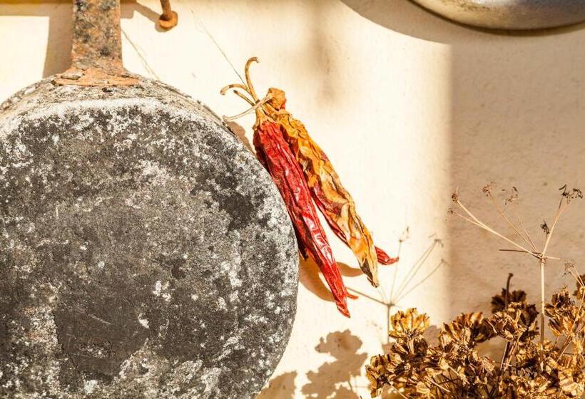 مبيت وإفطار The Old Farm Asfodeli  Adults Only