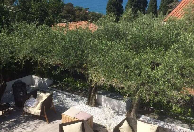 تختخواب و صبحانه Velamica Resort