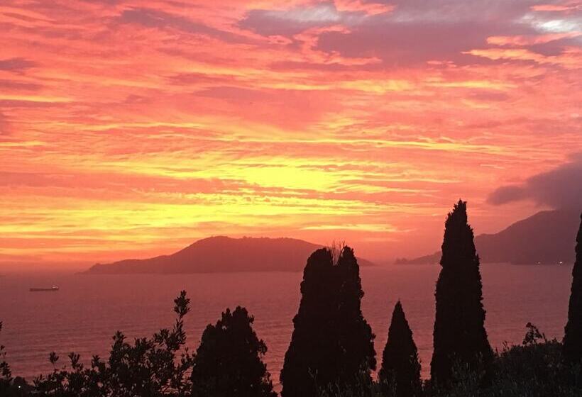 تختخواب و صبحانه Velamica Resort