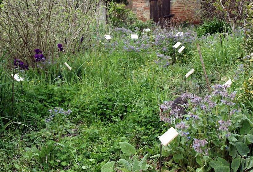 Bio B&b La Fanciullaccia