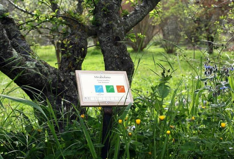 Bio B&b La Fanciullaccia