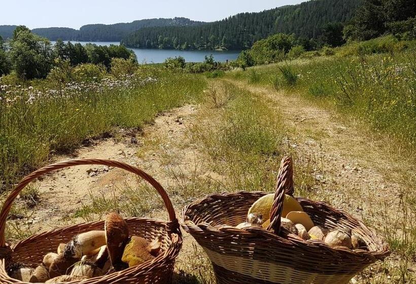 客栈  Del Lago Ampollino