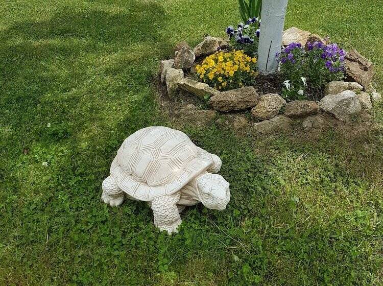 فندق فئة نجمة واحدة Il Brigante