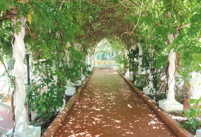 مسافرخانه Villa Passarelli