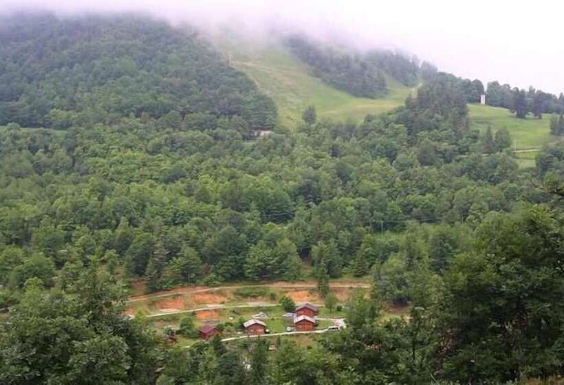 Отель Camping Yoghi E Bubu