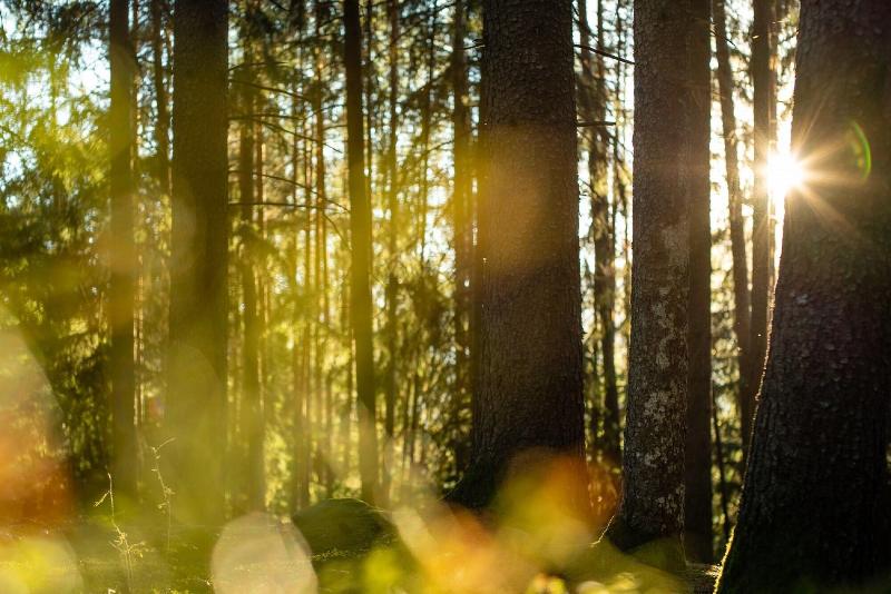 בית מלון כפרי My Arbor   Adults Only