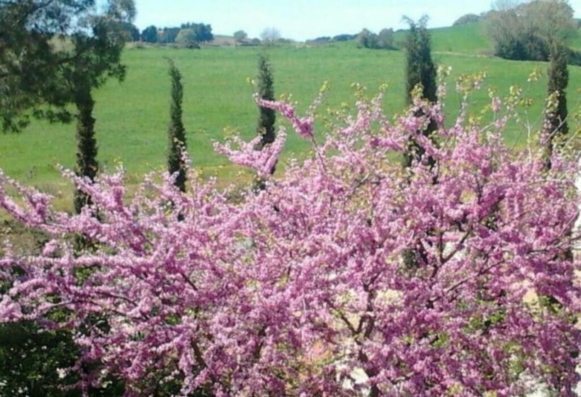 فندق ريفى Agriturismo Boschetto Di Montiano