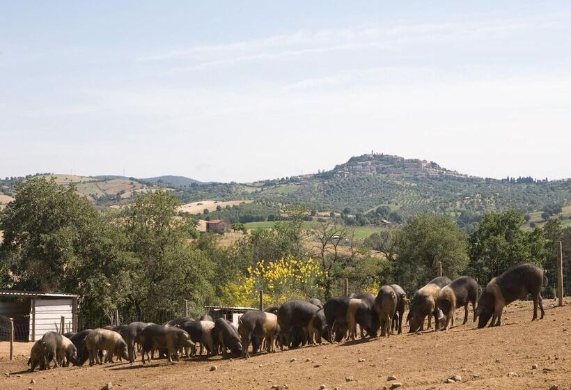 فندق ريفى Agriturismo Boschetto Di Montiano