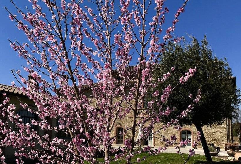 田舎風ホテル Agriturismo La Colmata