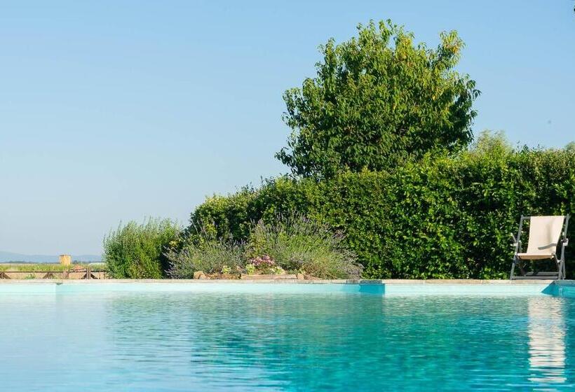 교외 호텔 Agriturismo La Colmata