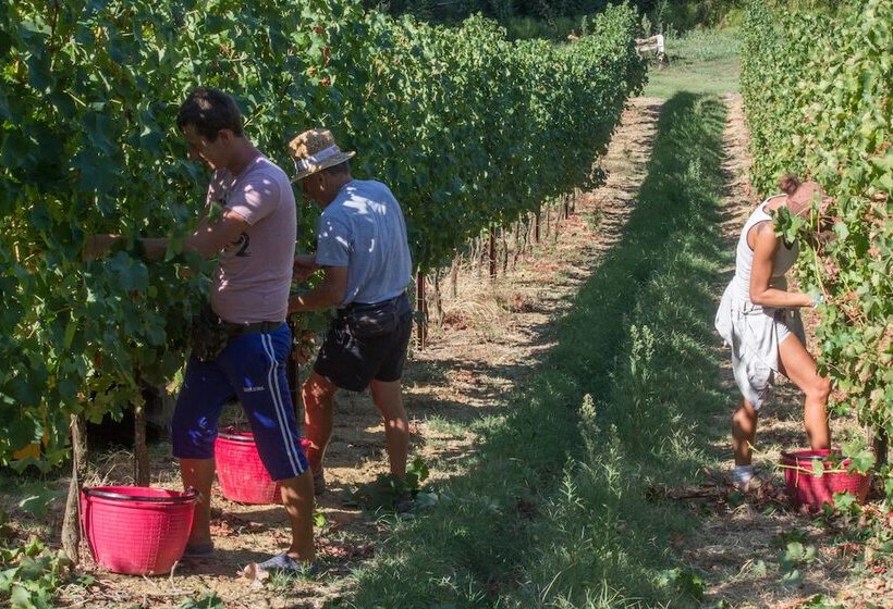 田舎風ホテル Agriturismo Trerè