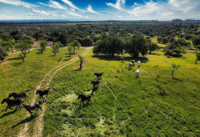 هتل روستایی Terre Di Vendicari
