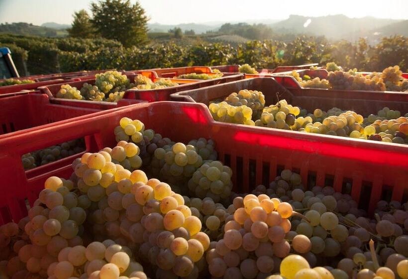 فندق ريفى Villa Cornarea