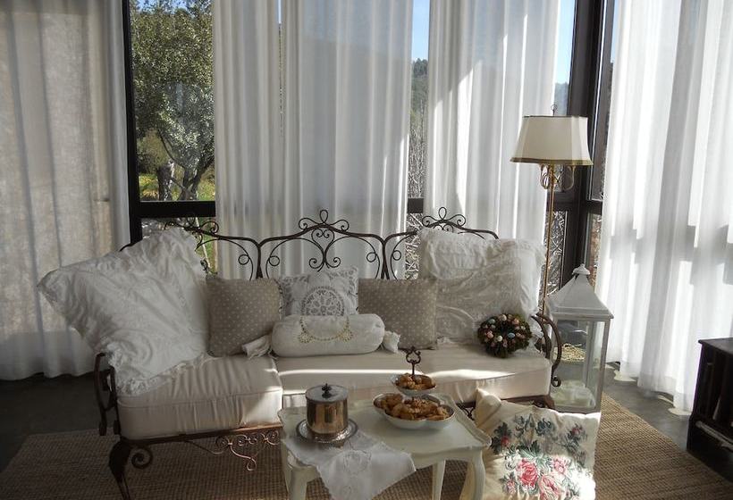 膳宿费 Podere Costa Romana