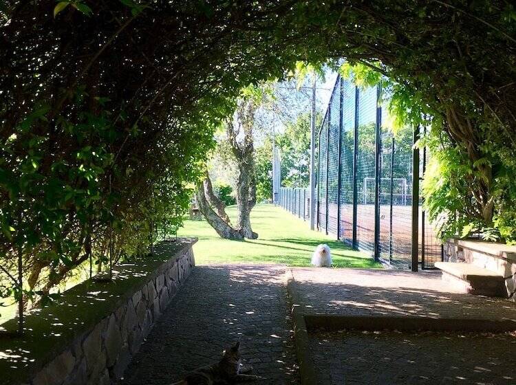 بنسيون Relais Gli Ulivi