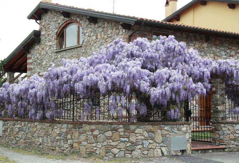 Pietra E Glicine B&b