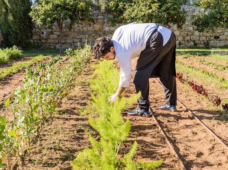 אתר נופש Baglio Occhipinti