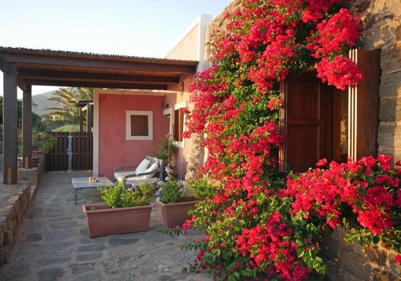 Tgi Dammusi Preziosi