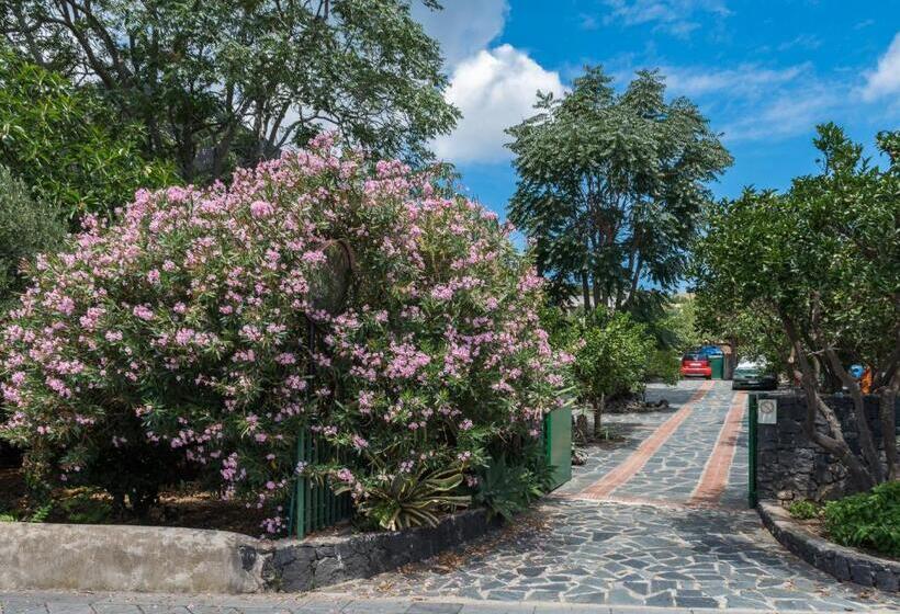 Villa Mariella Pittorino Camere In B&b
