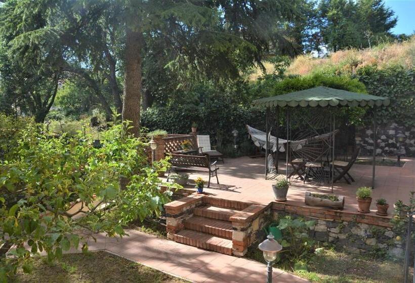 B&b Betulla Dell Etna