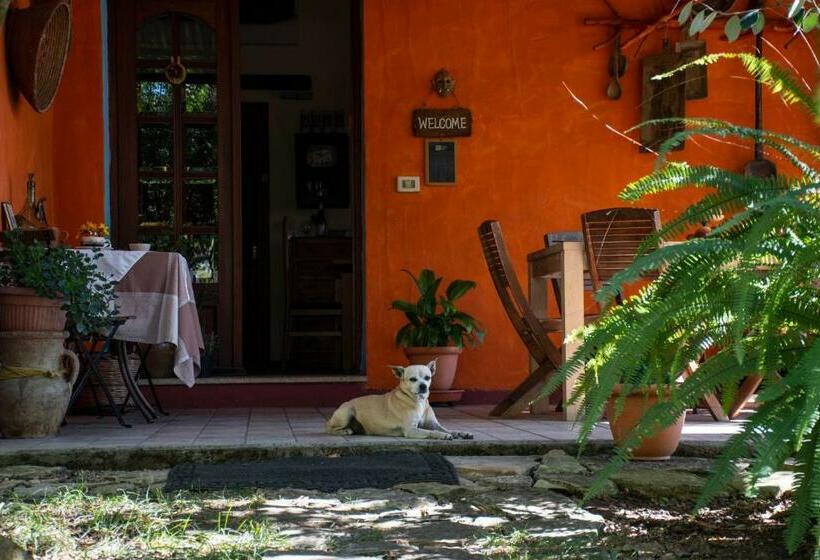 B&b La Noria