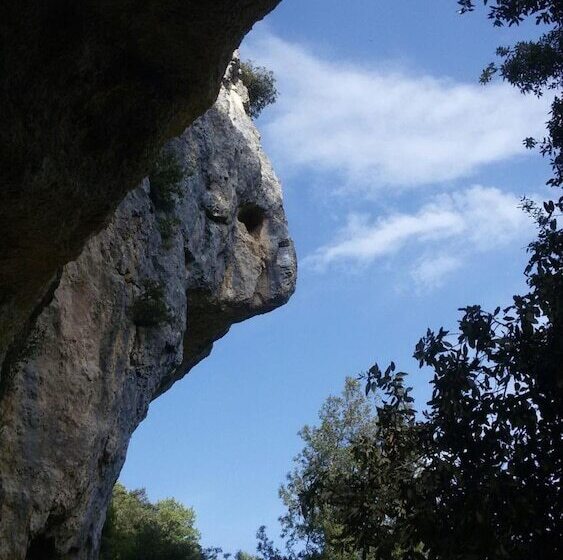 住宿加早餐  Amor Di Lavanda