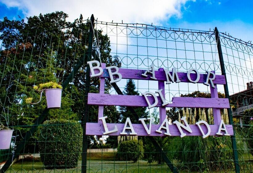 住宿加早餐  Amor Di Lavanda