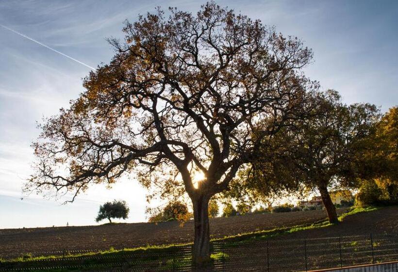 住宿加早餐  Amor Di Lavanda