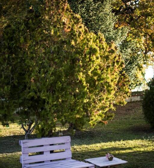 住宿加早餐  Amor Di Lavanda