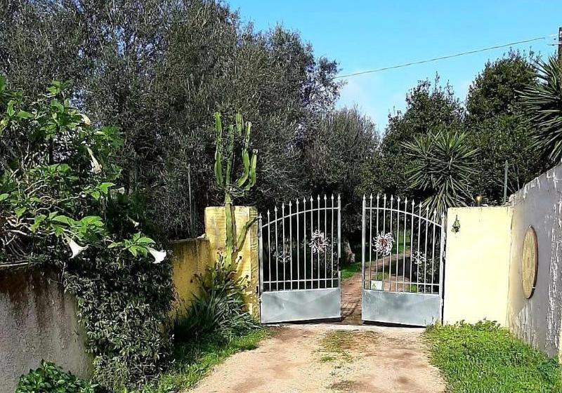 Bed And Breakfast Dal Pozzo