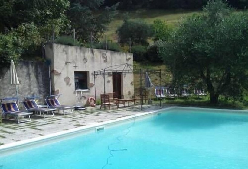 住宿加早餐  Podere Badia