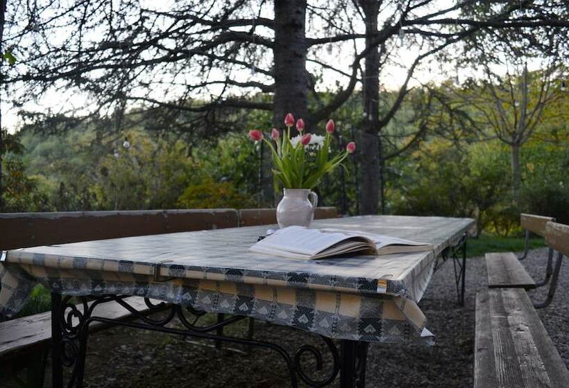 住宿加早餐  Podere Badia