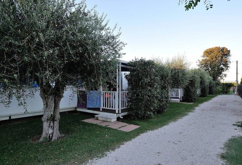 فندق Don Antonio Glamping Village