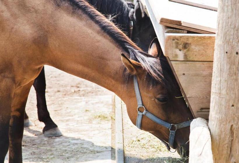 בית מלון כפרי Lilla