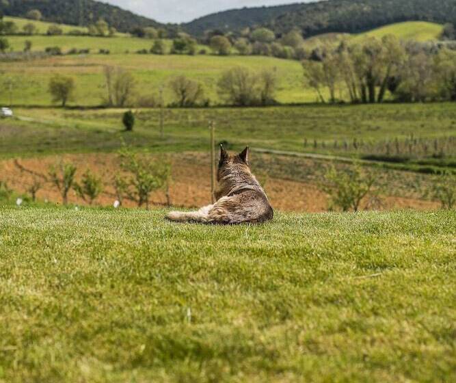 בית מלון כפרי Agriturismo Cupido