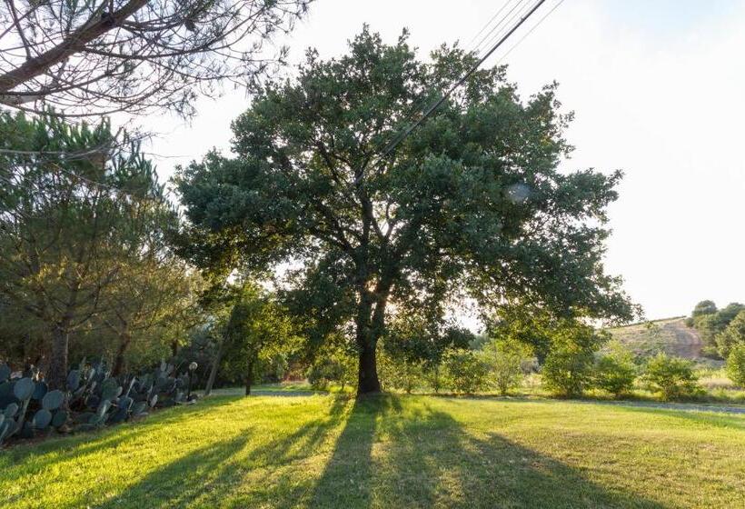 בית מלון כפרי Agriturismo Cupido