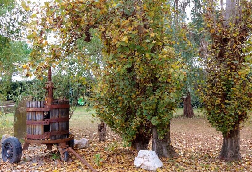 교외 호텔 Agriturismo Pinzale